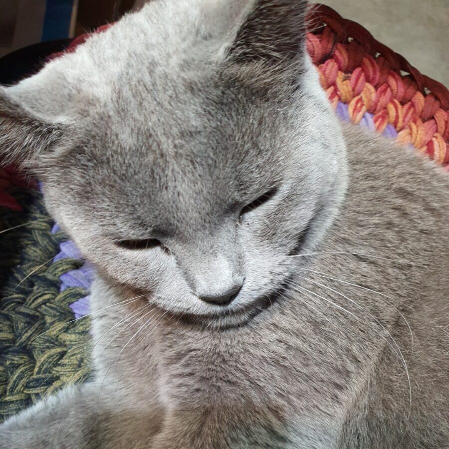 라미컨벤션웨딩홀의 가족 라미를 소개합니다.1 260407 edited