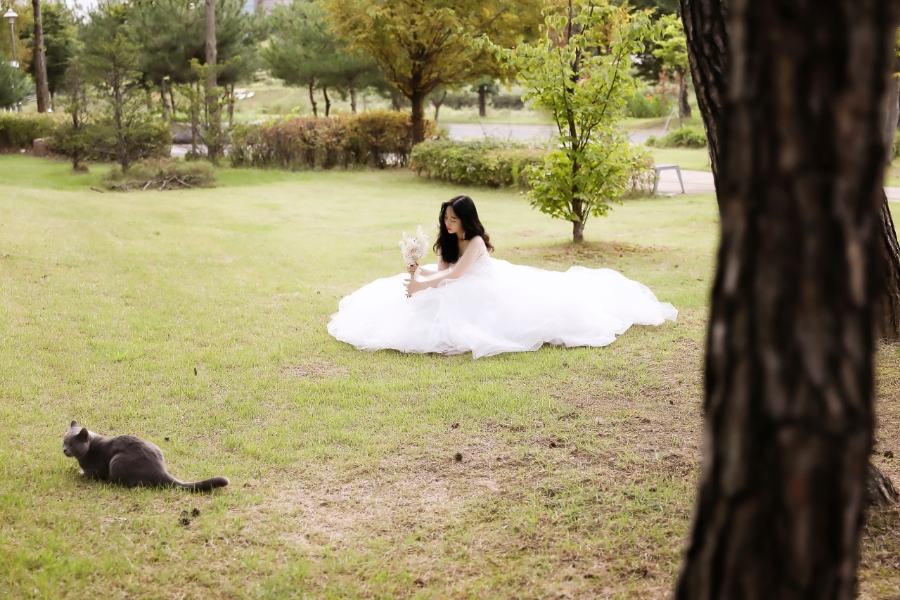 라미컨벤션웨딩홀의 가족 라미를 소개합니다.3 260407