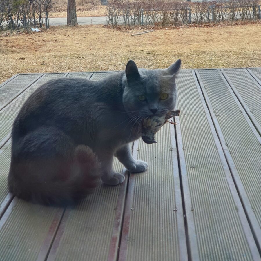 라미컨벤션웨딩홀의 가족 라미를 소개합니다.4 260407 edited