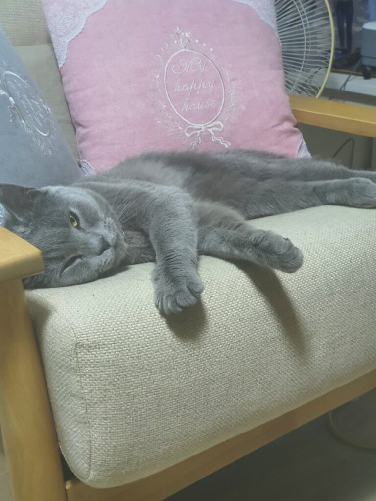 라미컨벤션웨딩홀의 가족 라미를 소개합니다.6 260407