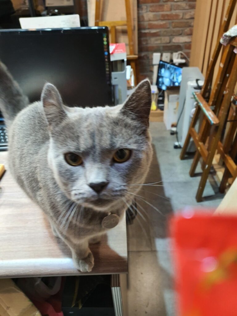 라미컨벤션웨딩홀의 가족 라미를 소개합니다.7 260407