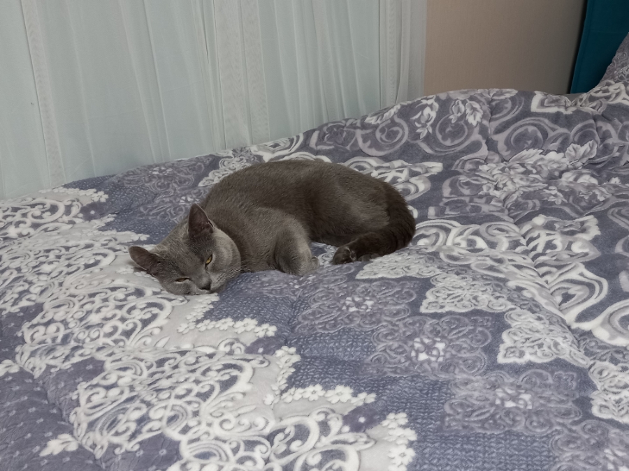 라미컨벤션웨딩홀의 가족 라미를 소개합니다.8 260407